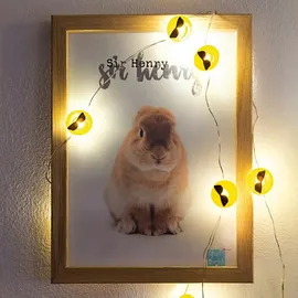 Hellum LED Lichterkette Kupfer 90 cm Warmweiß
