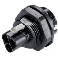 Wieland Electric 96.032.1053.1 Rundstecker Stecker, Einbau Gesamtpolzahl: 3 1St.
