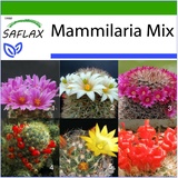 Saflax - Mammilaria Mischung - Mammilaria Mix - 40 Samen - Mit keimfreiem Anzuchtsubstrat