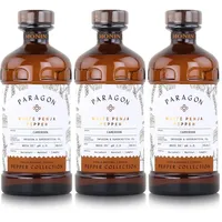 Monin Sirup Paragon Timur Berry 485ml - Cocktails Milchshakes (3er Pack)