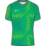 Nike Gardien VI Dri-FIT Torwarttrikot Grün S