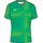 Nike Gardien VI Dri-FIT Torwarttrikot Grün S