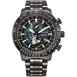 Citizen Promaster Geo Trecker