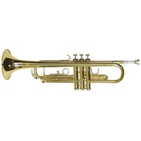 DIMAVERY Bb-Trompete TP-10 B-Trompete, verschiedene Farben erhältlich goldfarben