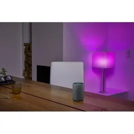LEDVANCE SMART+ WiFi Mini Bulb Tunable White 40 E 14 5 W,