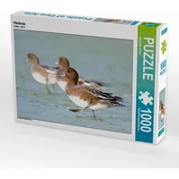 Calvendo Pfeifente Puzzle