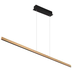 GLOBO LIGHTING LED-Hängeleuchte "DENTSY", schwarz (schwarz matt), 1 flammig, H: 120,00cm,, Lampen, Memoryfunktion, die deine bevorzugte Einstellung speichert