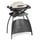 WEBER Q 1000 mit Stand titan