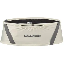 Salomon Pulse Hydratationsgürteltasche - Icicle / Castelrock - XL