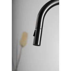 Sapho FLAWO Küchenarmatur Gun Metal