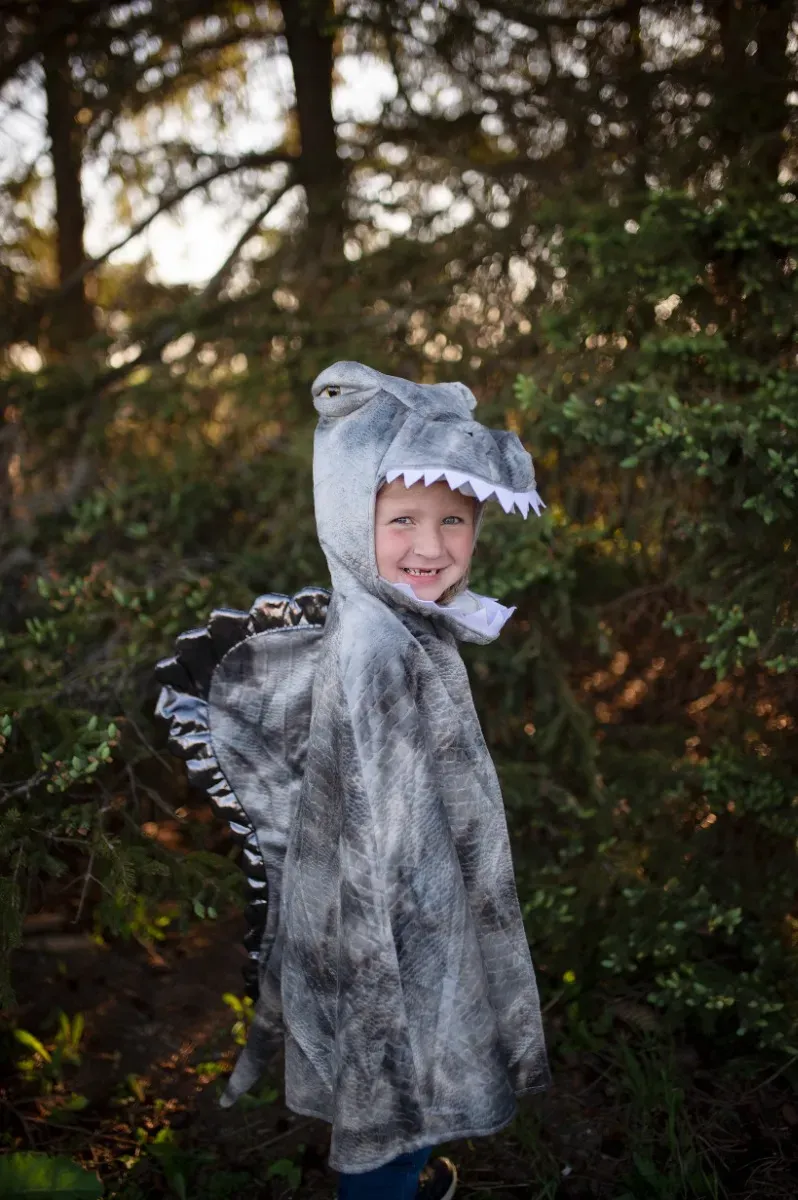 Kinder Spinosaurus Umhang 4-6 Jahre grün/braun/schwarz Polyester - Great Pretenders - Kapuze, weicher Stoff, Dinosaurier-Design