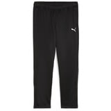 Puma teamGOAL Training Pant Wmn