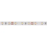 VELLEMAN Flexibler LED-Streifen 300 Leds 12 V warmweiß 500 cm