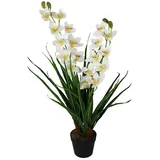 Kunstorchidee künstliche Orchidee Groß mit Kunstgras im Topf Zimmerpflanze Orchidee, Arnusa, Höhe 85 cm, wie echt real Touch beige|weiß