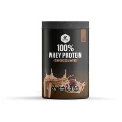 GO FITNESS 100% Whey Protein Chocolate