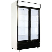 Mobiler Flaschenkühlschrank mit 2 Glastüren Getränkekühlschrank Kühlschrank Gastro 758 L +2/10°C 1120x595x2100 mm