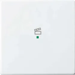 BUSCH-JAEGER Wippe 1-f Symbol Szene 6233-10-84