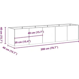 vidaXL Rostig 200 x 40 x 40 cm Braun