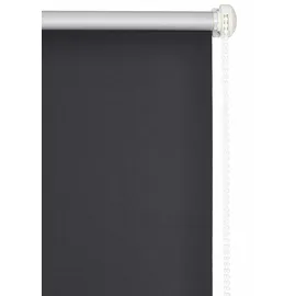 OTTO home Seitenzugrollo THEMSE 90 x 150 cm grau