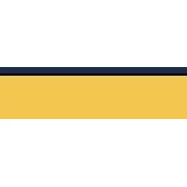 Result Snow Bird Navy/Yellow L