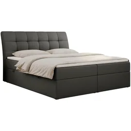 MKS Boxbett, DIEGOS 160/200 Dunkelgrau Kunstleder - H4
