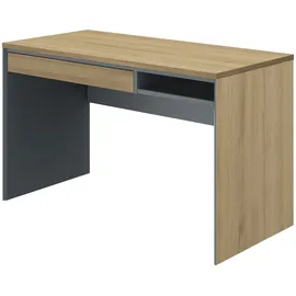 Gami Schreibtisch Arcade schwarz