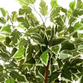 HJH Office Kunstpflanze FICUS Kunststoff