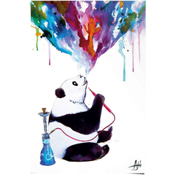 Reinders! Poster Panda Shisha, (1 Stück) bunt