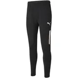 Puma Teamliga Training Pants Puma Black-puma white M