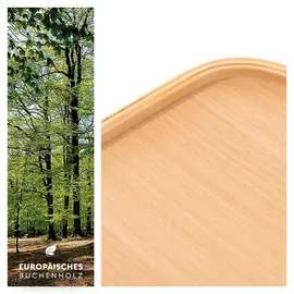 hauck Alpha Wooden Tray