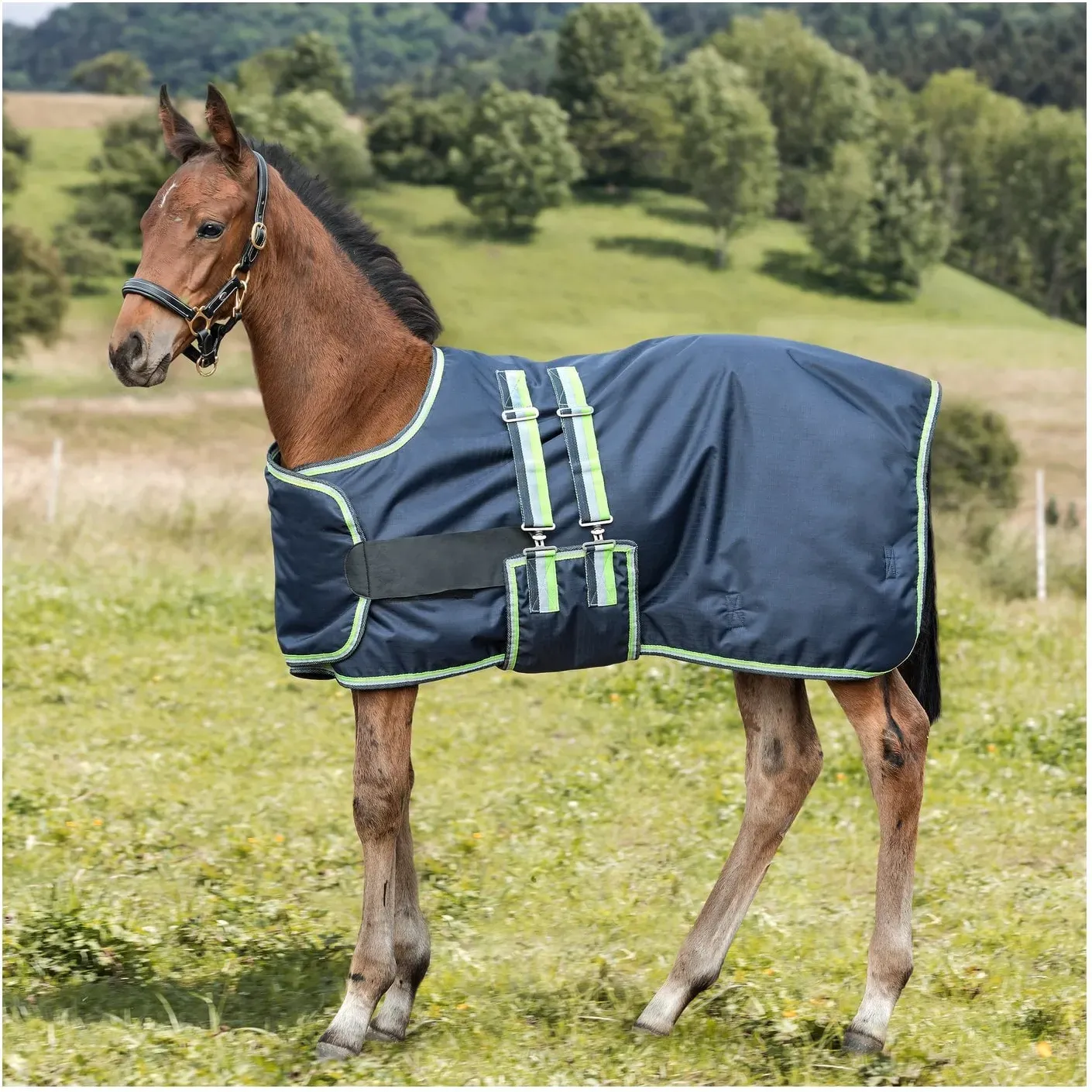 Horse-friends Fohlendecke dark navy 84 cm