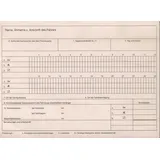 RNK RNK-Verlag Tageskontrollblätter für das Fahrpersonal Formularbuch 3095