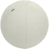 Leitz Ergo Active Sitzball hellgrau 65,0 cm mit Prämie nach Registrierung