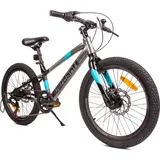SUN BABY Kinderfahrrad Jungenfahrrad 20 Zoll Fahrrad mit 6 gang Kettenschaltungen Shimano RevoShift Verdant Alder - Grau