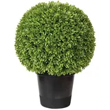 Fink Buchskugel, Kunstblume, Kunststoff, im Topf, Ø 18cm, 30cm oder 40 cm Neuheit 2020 187400