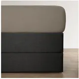 BettwarenShop Spannbettlaken Jersey-Elasthan 140 x 200 - 160 x 220 cm grau