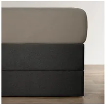 BettwarenShop Spannbettlaken Jersey-Elasthan 140 x 200 - 160 x 220 cm grau