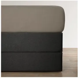 BettwarenShop Spannbettlaken Jersey-Elasthan 140 x 200 - 160 x 220 cm grau