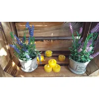 Meiers Bienenprodukte Teelichter aus reinem Bienenwachs (10 Teelichter)