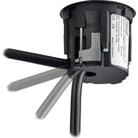 EVOline Schuko-Steckdose One Schwarz 2 St.