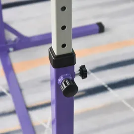 Homcom Turnreck 13-stufig höhenverstellbar Violett