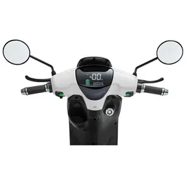 LUXXON E2100 2000 Watt 45km/h weiß