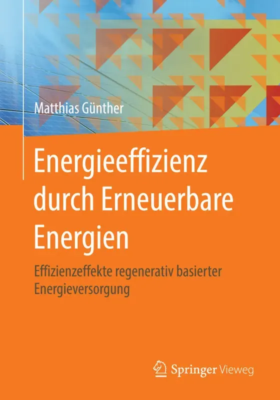 Energieeffizienz Durch Erneuerbare Energien - Matthias Günther  Kartoniert (TB)