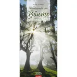Weingarten Wunderwelt der Bäume Kalender 2026