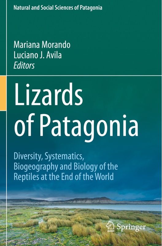 Lizards Of Patagonia, Kartoniert (TB)