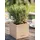 LECHUZA Canto Stone 14 Komplettset 14 x 14 x 13,5 cm sandbeige
