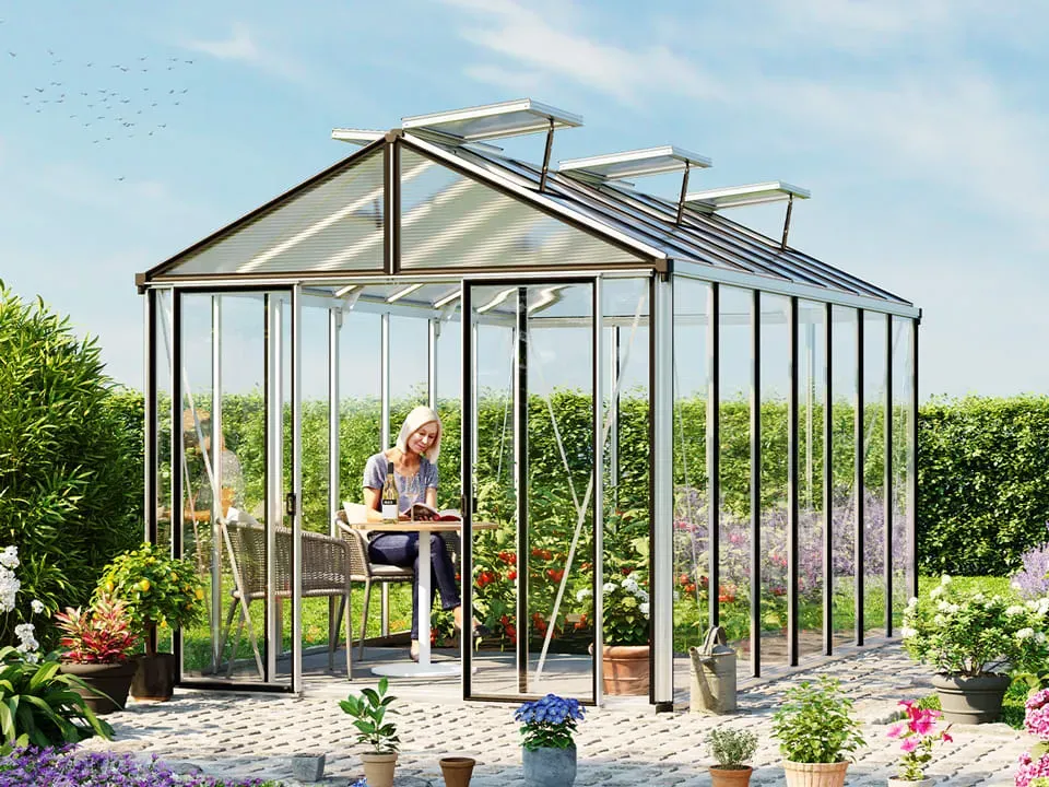 GFP Pro 263 x 450 cm Serre de jardin, couleur standard aluminium naturel - (GFPV00710)