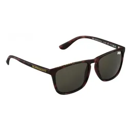 Sonnenbrille Superdry Shockwave - Unisex