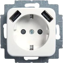 Busch-Jaeger 20 EUCB2USB-214 SCHUKO-2x USB Steckdose
