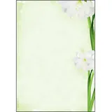 Sigel Motivpapier A4 90 g/m2 25 Blatt